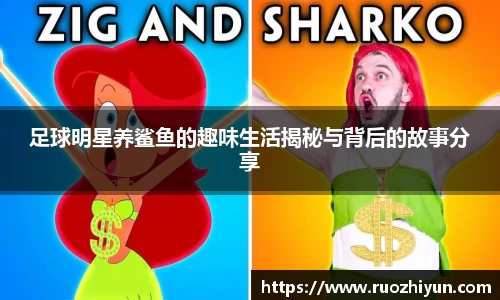 足球明星养鲨鱼的趣味生活揭秘与背后的故事分享